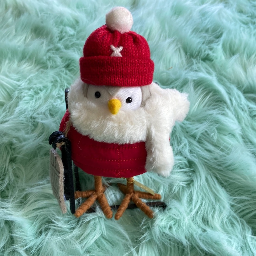 Target winter bird 2021 Nippy